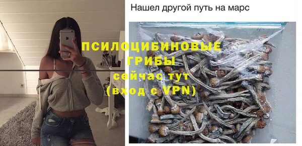 ПСИЛОЦИБИНОВЫЕ ГРИБЫ Алзамай
