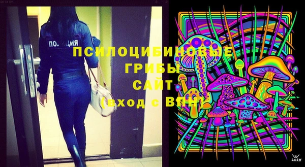 ПСИЛОЦИБИНОВЫЕ ГРИБЫ Алзамай