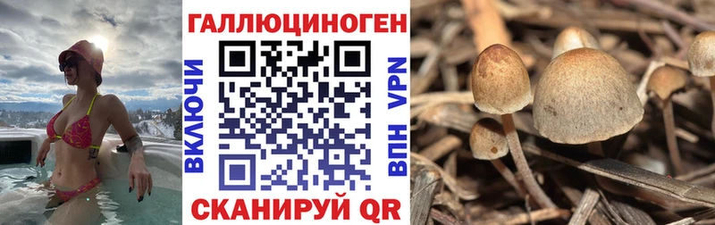 mega ссылки  Новоалександровск  Галлюциногенные грибы прущие грибы 