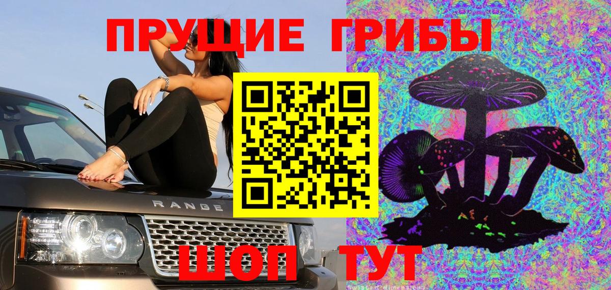 Псилоцибиновые грибы MAGIC MUSHROOMS Новоалександровск