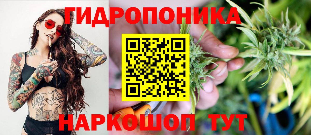 Каннабис семена Новоалександровск